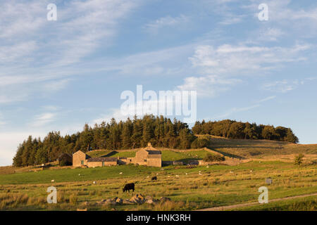 Fattoria Hotbank, annidato sotto il percorso fino a Hotbank dirupi, visto qui sotto uno splendido inizio blu cielo di autunno Foto Stock