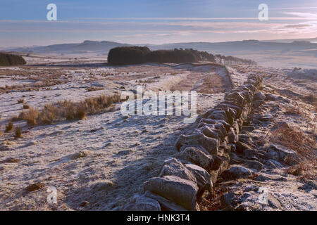 Il Vallo di Adriano in inverno: la vista guardando verso est da vicino Alloa Lea e Allolee Rigg, verso Cockmount Hill e distante Cawfield e balze Winshield Foto Stock