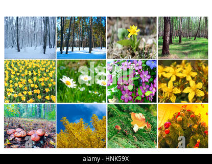 Bianco con dodici diverse immagini colorate della natura per il calendario Foto Stock