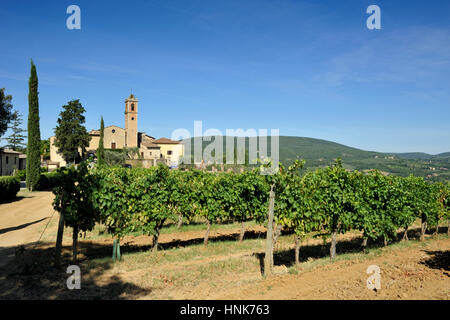 Vigneti, Borgo Montauto, San Gimignano, Toscana, Italia Foto Stock