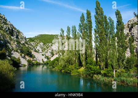 Fiume Krupa e le sue cascate. Croazia Foto Stock