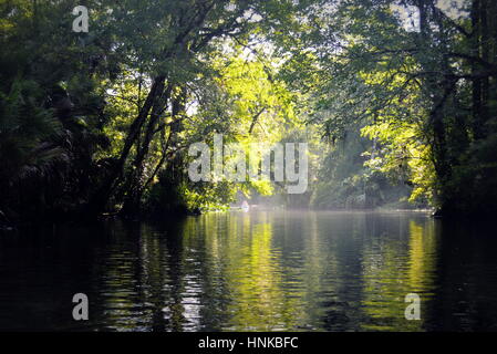 Wekiwa Springs, parchi dello stato della Florida, Orlando, Florida, Stati Uniti d'America Foto Stock