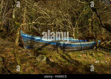 Deserte vecchia barca di legno blu fila tra gli alberi nel bosco, Killarney National Park, County Kerry, Irlanda Foto Stock