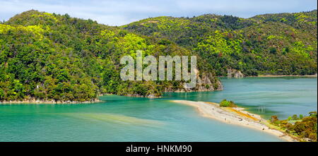 Giallo sabbia spiaggia tropicale con colline sovradimensionate, Torrent Bay, il Parco Nazionale Abel Tasman, regione Tasmania, Southland, Nuova Zelanda Foto Stock