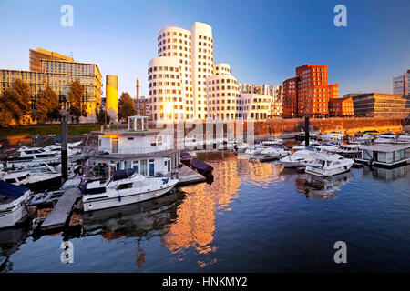 Marina con edifici di Gehry nella luce della sera, Düsseldorf, Renania settentrionale-Vestfalia, Germania Foto Stock