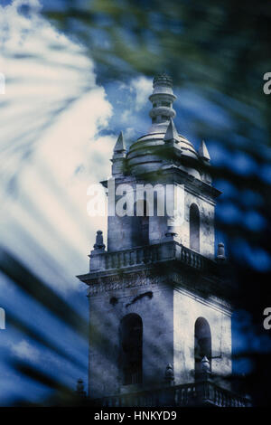 Vista attraverso foglie di palmo di la torre della cattedrale di Merida. Pattners e ombre. Foto Stock