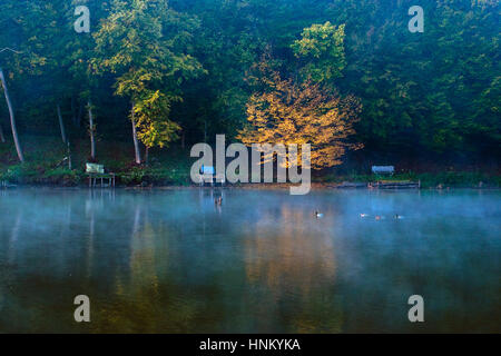 Autunno in scena con laghi e foreste in sunset Foto Stock