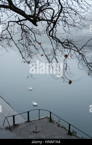 Il fiume Tamigi a Richmond su nebbioso giorno d'inverno,Richmond Upon Thames,Greater London,Inghilterra Foto Stock