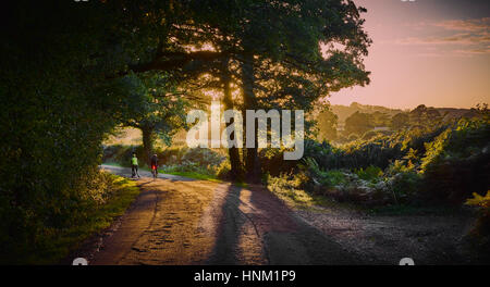 I ciclisti in un paese di sole lane in estate Foto Stock