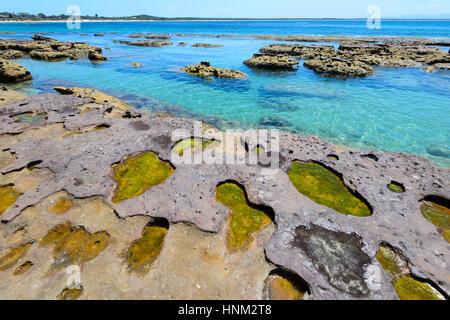 Arenaria incredibili formazioni rocciose presso la spiaggia panoramica di Currarong, area di Shoalhaven, Nuovo Galles del Sud, NSW, Australia Foto Stock