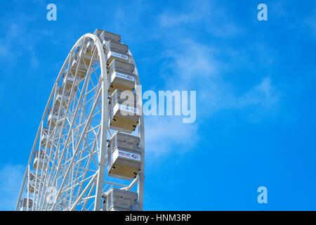 Occhio di Nottingham Foto Stock