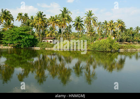 India, alberi di cocco e di riflessione beautifoull house boat sul retro acque del Kerala Foto Stock