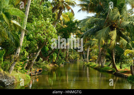 India, alberi di cocco e di riflessione beautifoull house boat sul retro acque del Kerala Foto Stock