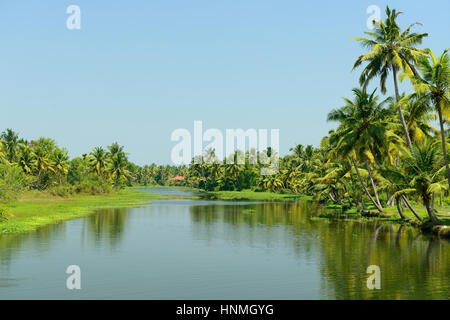 India, alberi di cocco e di riflessione beautifoull house boat sul retro acque del Kerala Foto Stock