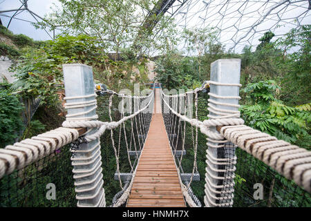 Il nuovo ponte di corde all'interno della foresta pluviale Biome, Eden Project. Foto Stock