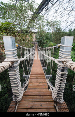 Il nuovo ponte di corde all'interno della foresta pluviale Biome, Eden Project. Foto Stock