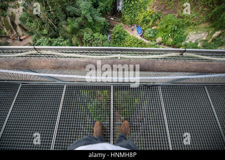 Piattaforma di avvistamento, Rainforest Biome, Eden Project. Foto Stock