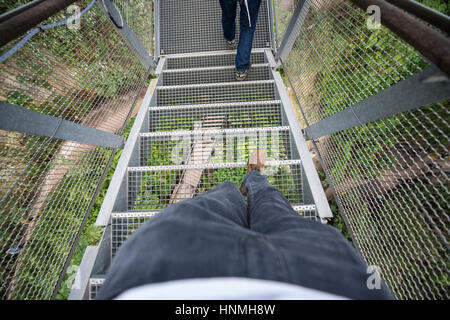 Piattaforma di avvistamento, Rainforest Biome, Eden Project. Foto Stock