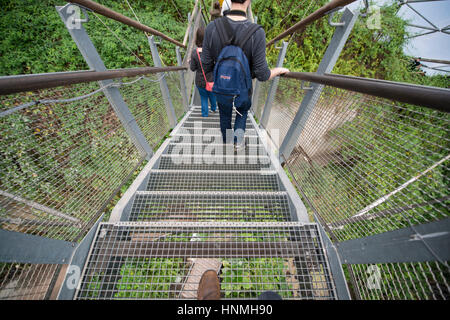 Piattaforma di avvistamento, Rainforest Biome, Eden Project. Foto Stock