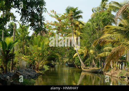 India, alberi di cocco e di riflessione beautifoull house boat sul retro acque del Kerala Foto Stock