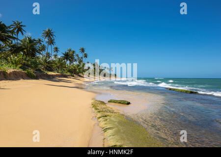 Esposti rocce PLAYA PINONES BEACH LOIZA PUERTO RICO Foto Stock