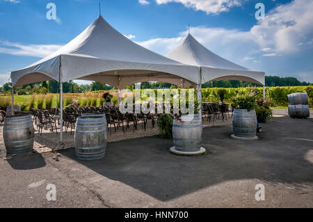 Bianco grande tenda di nozze impostato per una cerimonia esterna o un banchetto su un vigneto nel paese di Quebec, Canada Foto Stock