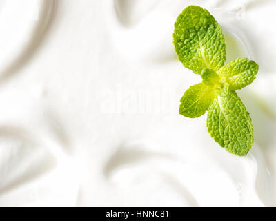 Lo yogurt greco o panna acida la texture e la foglia di menta vicino fino a una copia dello spazio. Vista superiore o laici piatta Foto Stock