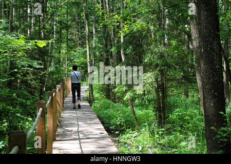 Sentiero didattico in Bialowieza Parco Nazionale e Riserva di rigorose Foto Stock