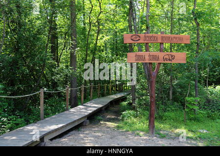 Sentiero didattico in Bialowieza Parco Nazionale e Riserva di rigorose Foto Stock