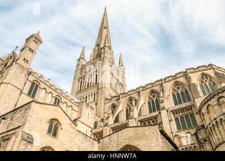 La Cattedrale di Norwich è una cattedrale della Chiesa d'Inghilterra a Norwich, Norfolk, Inghilterra, dedicata alla Trinità Santa e indivisa Foto Stock