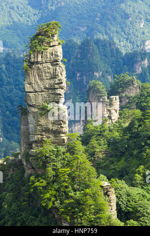 Scenario di Zhangjiajie,nella provincia del Hunan,Cina Foto Stock