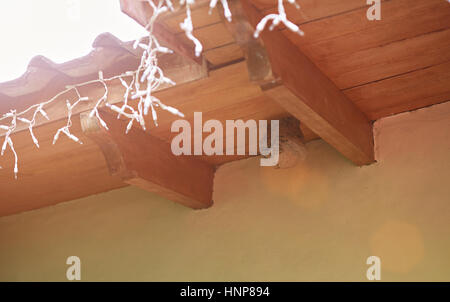 Round Wasp Nest sul tetto di casa moderna close up Foto Stock