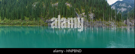 Kaindy lago nel Tien Shan del sistema montuoso, Kazakistan Foto Stock