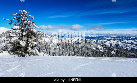 Vista dalla cima a Bogus Basin, la località sciistica al di fuori di Boise, ID. Foto Stock