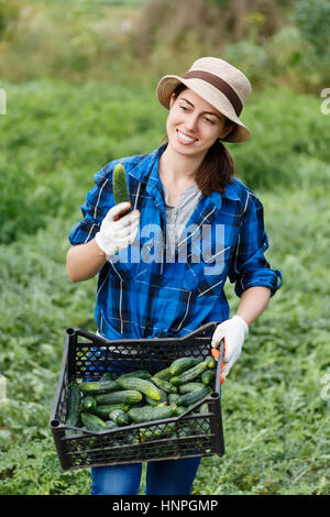 Giardiniere con appena raccolto i cetrioli in giardino. Donna con una cassa con sani e freschi cetrioli organici. La mietitura. Donna felice con verdure har Foto Stock