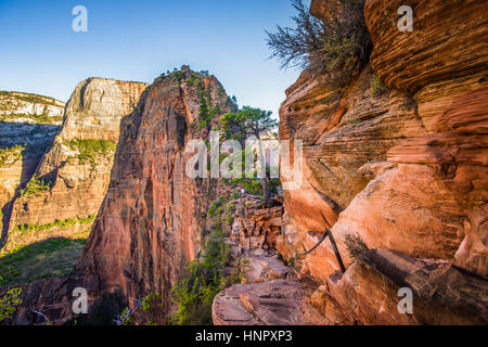 Vista panoramica del famoso Angels Landing sentiero escursionistico lead si affaccia su New Scenic 5 posti Zion Canyon su una bella giornata di sole con il cielo blu, il Parco Nazionale di Zion Foto Stock