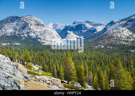 Vista panoramica della splendida Sierra Nevada paesaggio di montagna con il famoso Lago Tenaya in una giornata di sole in estate, il Parco Nazionale Yosemite in California, Stati Uniti d'America Foto Stock