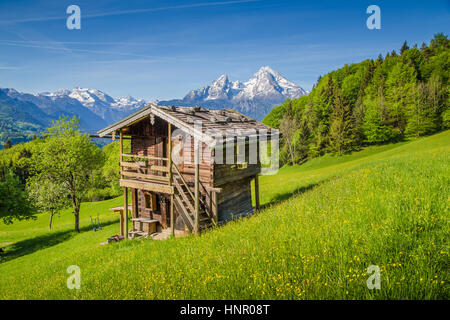 Bellissima vista idilliaco paesaggio di montagna delle Alpi con un tradizionale vecchio chalet di montagna e freschi pascoli con fiori Foto Stock