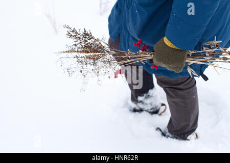 Essiccato bouquet di fiori e di frutti a bacca rossa di pallon di maggio in una mano d'uomo in inverno su sfondo innevato. Foto Stock