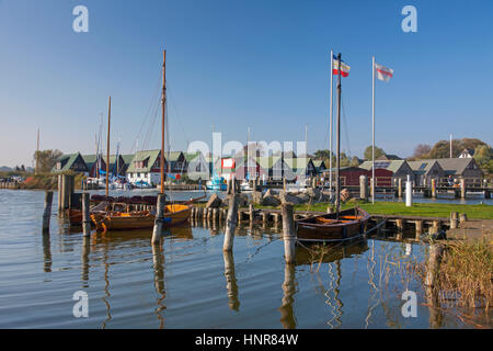 Barche a vela e boathouses presso il porto di Althagen a Fischland-Darß-Zingst, Meclenburgo-Pomerania Occidentale, Germania Foto Stock