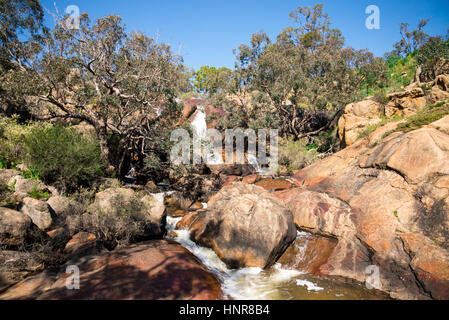 Una vista del Parco Nazionale cade dalla parte inferiore della piattaforma di visualizzazione, John Forrest national park, Australia occidentale Foto Stock