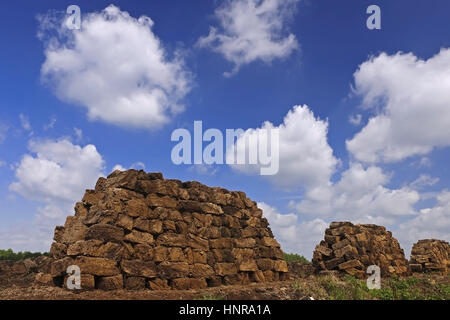 Taglio di torba a Goldenstedter Moor, Bassa Sassonia, Germania Foto Stock