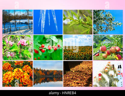 Bianco con dodici diverse immagini colorate della natura per il calendario Foto Stock