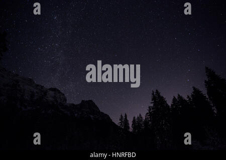 Cielo notturno con stelle e alberi, Hintersee, nationalpark berchtesgaden, Baviera, Germania Foto Stock