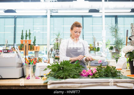 Fioraio stelo di taglio sul rosa sul contatore nel negozio di fiori Foto Stock