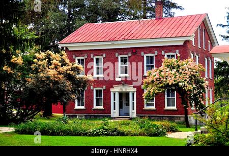 Nuovo Libano, NY - 17 Settembre 2014: XIX secolo infermeria edificio fiancheggiato da grande fioritura Hydrangea alberi sul Monte Libano villaggio dello scuotipaglia Foto Stock