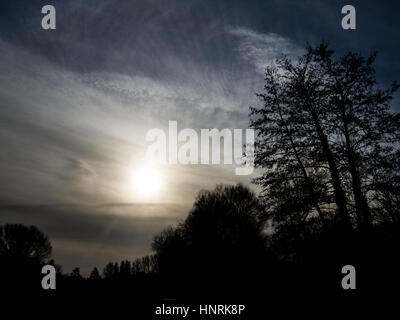 Alberi e cielo nuvoloso in Hampshire, Inghilterra. Foto Stock