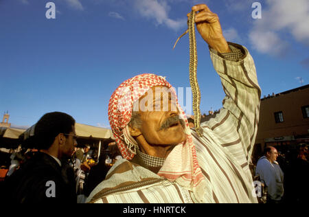 Il serpente incantatore, Piazza Jemaa El Fna a Marrakech, Marocco, Africa Settentrionale, Africa Foto Stock