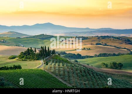 Toscana, Val d'Orcia. Colline e paesaggio, Italia Foto Stock