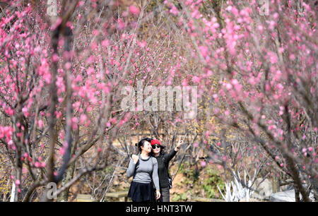 Nanchang, cinese della provincia di Jiangxi. Xvi Feb, 2017. Vista turisti fiori di susina a Taiyanggu punto panoramico di Nanchang, a est della capitale cinese della provincia di Jiangxi, Feb 16, 2017. Credit: Wan Xiang/Xinhua/Alamy Live News Foto Stock